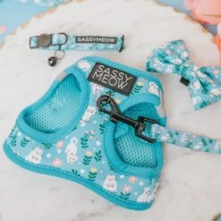 Cat Step-In Harness - Purrs & Petals -Furfinity Cheap Shop purrs petal sassy meow 2