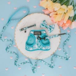 Cat Bundle - Purrs & Petals -Furfinity Cheap Shop purrs petal sassy meow