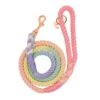 Dog Rope Leash - Rainbow Bright -Furfinity Cheap Shop rainbow bright dog rope leash 1