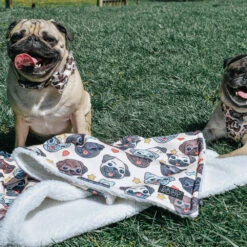 Pet Blanket - It's A Pug's Life -Furfinity Cheap Shop re sizedPUGS2