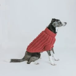Dog Cable Knit Sweater - Red -Furfinity Cheap Shop red cable knit sweater models 4