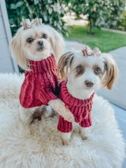 Dog Cable Knit Sweater - Red -Furfinity Cheap Shop redcableknit EMI.AND .JOJO 2