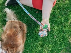 Potty Pal - Tree 17 Potty Pal - Tree -Furfinity Cheap Shop rescuingruthie 1 7142734d 9327 4583 a5a7 d4cd50778831