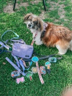 Potty Pal - Pink Bow -Furfinity Cheap Shop rescuingruthie 3 b85ef862 8f11 4977 975f a01925c24608