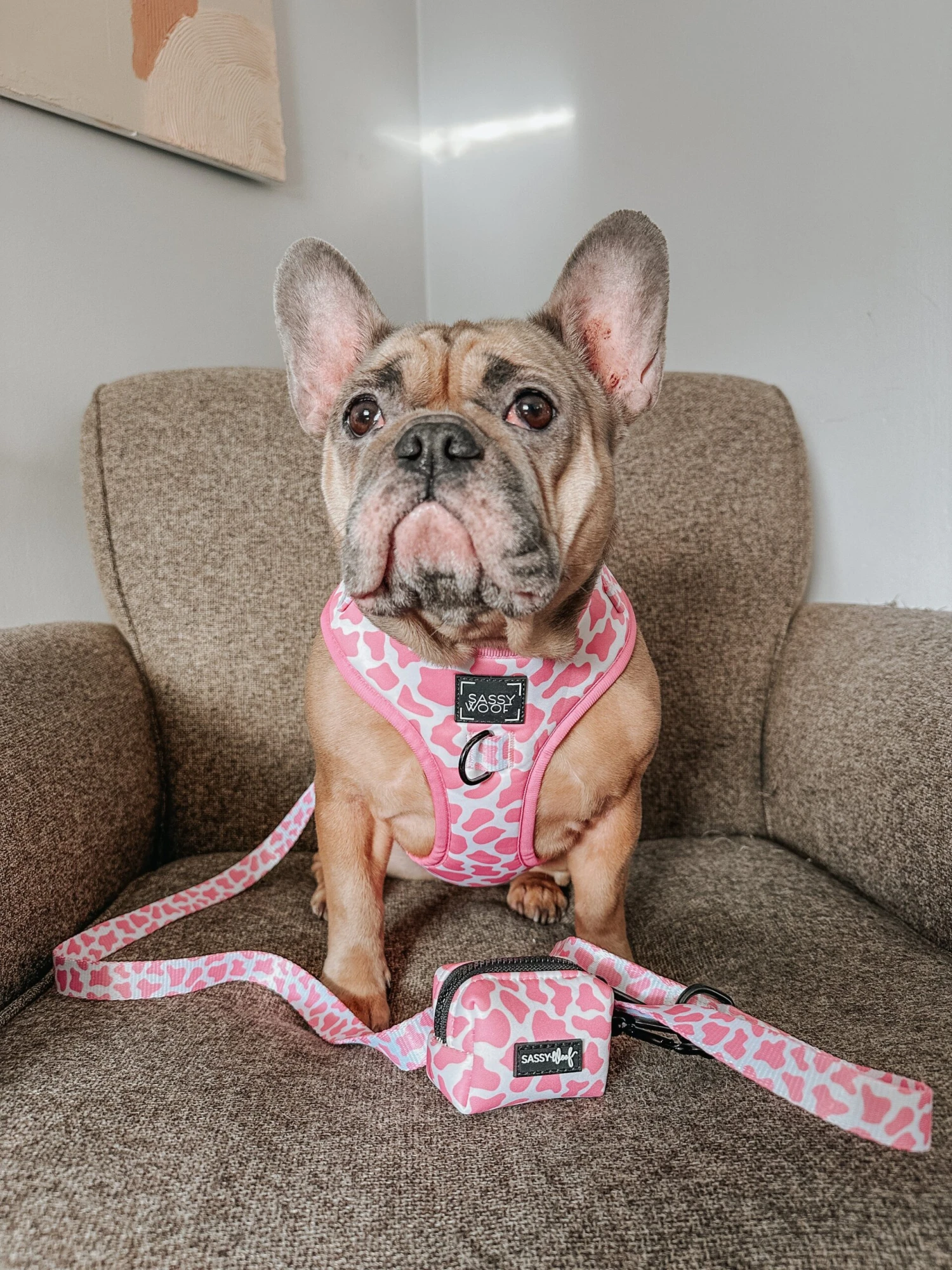 Dog Adjustable Harness - Strawberry Milk 18 Dog Adjustable Harness - Strawberry Milk - Image 16