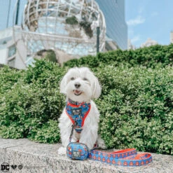 Dog Waste Bag Holder - Superman™ -Furfinity Cheap Shop rockynycmorkie d98c2ba3 640e 455f a243 39b78e2e7cbc