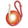 Dog Rope Leash - Sunrise