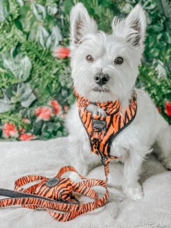 Dog Adjustable Harness - Paw Of The Tiger -Furfinity Cheap Shop safari collection 11 e5525389 2dcf 4929 820e 405501fe1f51