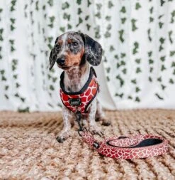 Dog Adjustable Harness - Giraffic Park -Furfinity Cheap Shop safari collection 27 fa23adc6 f0f4 4853 9ac0 fc9b54ce61ae