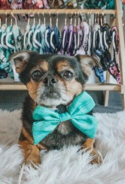 Dog Sailor Bow - Wag Your Teal -Furfinity Cheap Shop sailorbows dog 2 1