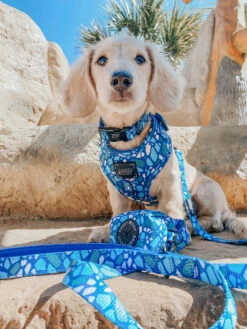 Dog Waste Bag Holder - Santorini -Furfinity Cheap Shop santorini dog harness 5 1202bc77 aa2b 47d8 bce6 b209692e1b2f