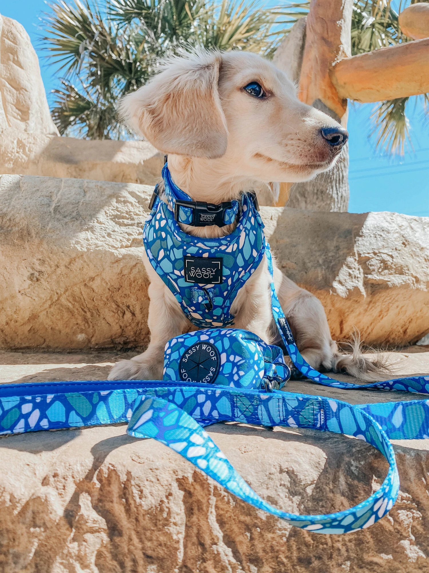 Dog Adjustable Harness - Santorini 18 Dog Adjustable Harness - Santorini - Image 16