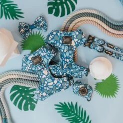 Dog Collar - Santorini -Furfinity Cheap Shop santorini dog restock photos update