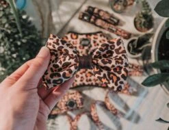 Dog Bowtie - Sass Gone Wild 12 Dog Bowtie - Sass Gone Wild -Furfinity Cheap Shop sass gone wild 3