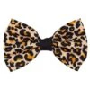 Dog Bowtie - Sass Gone Wild -Furfinity Cheap Shop sass gone wild dog bowtie 2