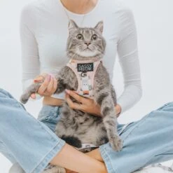 Cat Step-In Harness - Smitten Kittens -Furfinity Cheap Shop sassy meow cat photos