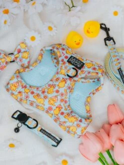 Cat Bundle - Good Duck, Babe! 20 Cat Bundle - Good Duck, Babe! -Furfinity Cheap Shop sassymeowgoodduckbabe