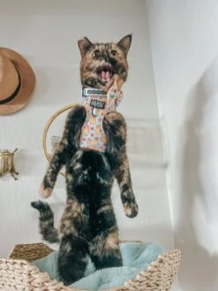 Cat Bundle - Good Duck, Babe! 21 Cat Bundle - Good Duck, Babe! -Furfinity Cheap Shop screamy beany 5