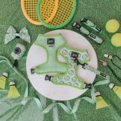 Dog Four Piece Bundle - Serving Up Sass -Furfinity Cheap Shop serving up sass dog collection 2