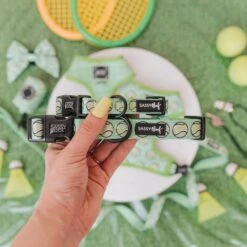 Dog Collar - Serving Up Sass 16 Dog Collar - Serving Up Sass -Furfinity Cheap Shop serving up sass dog collection 5