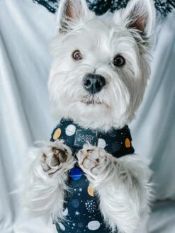 Dog Adjustable Harness - To The Stars And Beyond 35 Dog Adjustable Harness - To The Stars And Beyond -Furfinity Cheap Shop space dog adjustable harness