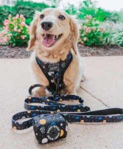 Dog Leash - To The Stars And Beyond -Furfinity Cheap Shop space dog bundle dachshund