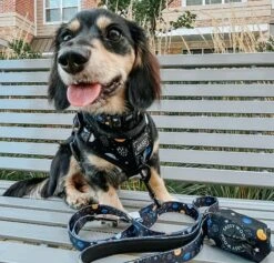 Dog Adjustable Harness - To The Stars And Beyond 31 Dog Adjustable Harness - To The Stars And Beyond -Furfinity Cheap Shop space dog doxie aed4bce5 d3fc 43a3 98fe af4682521f5f