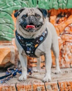 Dog Adjustable Harness - To The Stars And Beyond 30 Dog Adjustable Harness - To The Stars And Beyond -Furfinity Cheap Shop space dog harness 15 2