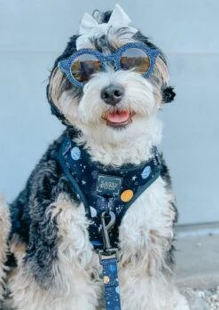 Dog Adjustable Harness - To The Stars And Beyond 40 Dog Adjustable Harness - To The Stars And Beyond -Furfinity Cheap Shop space dog harness 23