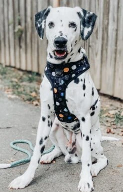 Dog Adjustable Harness - To The Stars And Beyond 29 Dog Adjustable Harness - To The Stars And Beyond -Furfinity Cheap Shop space dog harness 3 a87f0572 3df1 416e a73b e6a5e405eda0