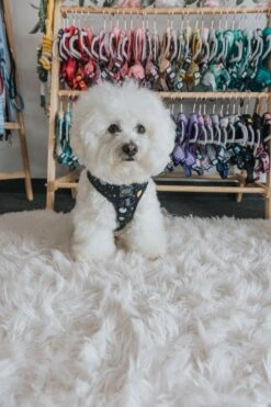 Dog Adjustable Harness - To The Stars And Beyond 28 Dog Adjustable Harness - To The Stars And Beyond -Furfinity Cheap Shop space dog harness 2