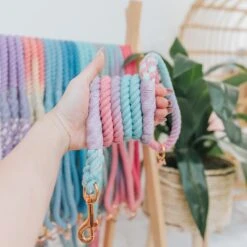 Dog Rope Leash - Lollipup -Furfinity Cheap Shop spring rope individul 2