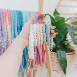 Dog Rope Leash - Eucalyptus -Furfinity Cheap Shop spring rope individul 3