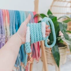 Dog Rope Leash - Aqua -Furfinity Cheap Shop spring rope individul 4