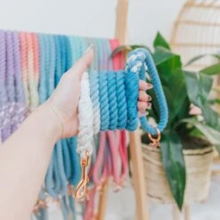 Dog Rope Leash - Captain -Furfinity Cheap Shop spring rope individul 6