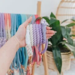 Dog Rope Leash - Royal 9 Dog Rope Leash - Royal -Furfinity Cheap Shop spring rope individul 8