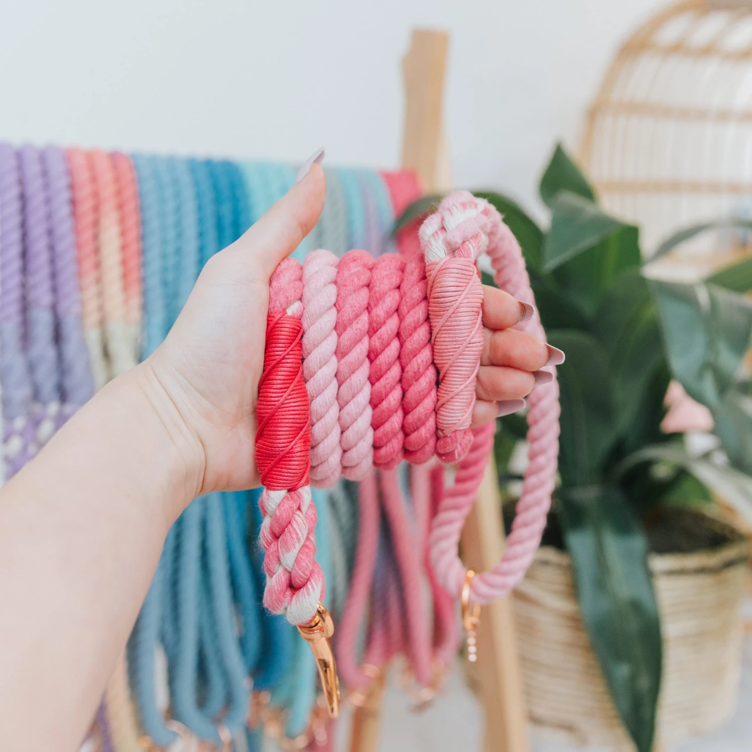 Dog Rope Leash - Hibiscus 6 Dog Rope Leash - Hibiscus - Image 4