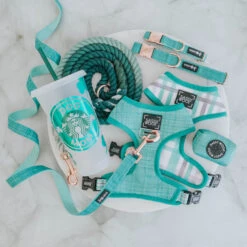 Dog Waste Bag Holder - Wag Your Teal -Furfinity Cheap Shop st patrick flatlay 1 1
