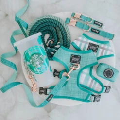 Dog Four Piece Bundle - Wag Your Teal -Furfinity Cheap Shop st patrick flatlay 2