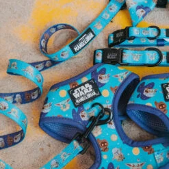 Dog Four Piece Bundle - STAR WARS™ The Mandalorian™ -Furfinity Cheap Shop starwars 24