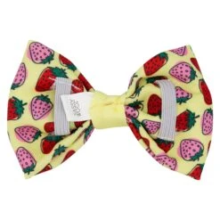 Dog Bowtie - Strawberry Fields Furever -Furfinity Cheap Shop strawberry fields furever dog bowtie 3