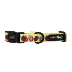 Dog Collar - Strawberry Fields Furever -Furfinity Cheap Shop strawberry fields furever dog collar 3