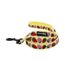 Dog Two Piece Bundle - Strawberry Fields Furever -Furfinity Cheap Shop strawberry fields furever dog leash 33af2833 e0d5 4a38 a9a6 553964b2cfe1