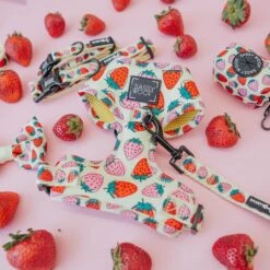 Dog Adjustable Harness - Strawberry Fields Furever -Furfinity Cheap Shop strawberry fields furrever flatlay 4