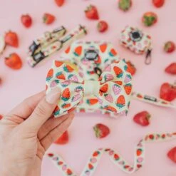 Dog Bowtie - Strawberry Fields Furever -Furfinity Cheap Shop strawberry fields furrever flatlay 5