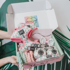 Dog Four Piece Bundle - Magnolia -Furfinity Cheap Shop summer launch photo 7