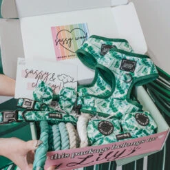 Dog Bowtie - Verano -Furfinity Cheap Shop summer launch photo 8