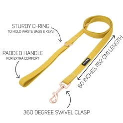 Collar Three Piece Bundle - Sunflower Fields -Furfinity Cheap Shop sunflower fields dog fabric leash guide