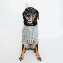 Dog Cable Knit Sweater - Gray -Furfinity Cheap Shop sunnysweater 2