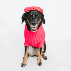 Dog Cable Knit Sweater - Hot Pink -Furfinity Cheap Shop sunnysweater